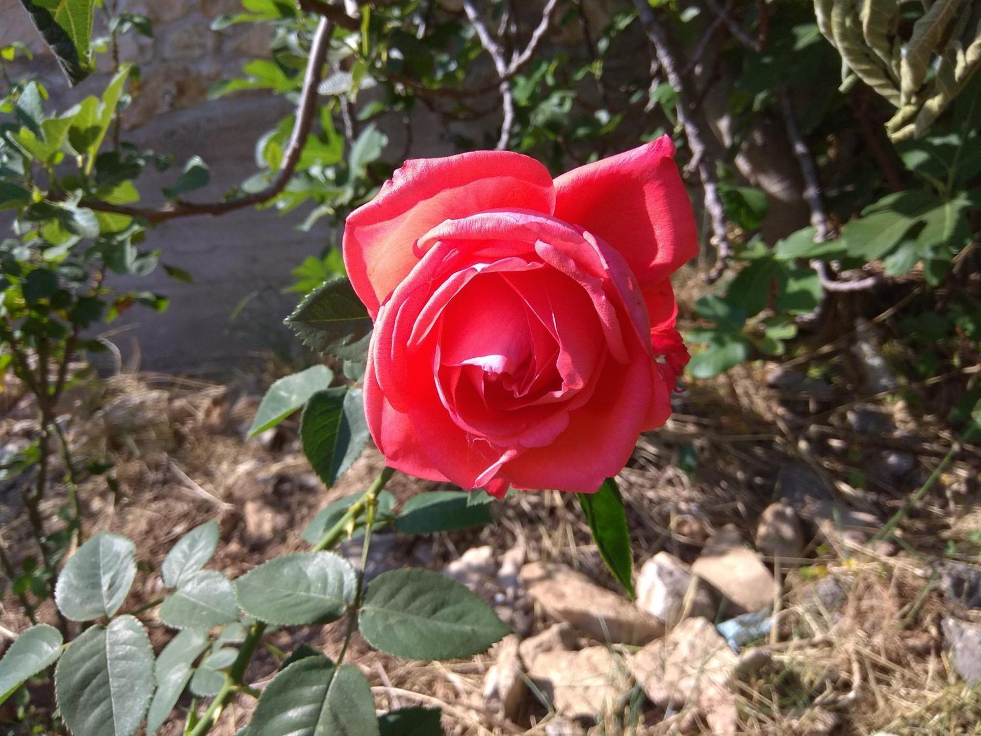 מגאלה קורפיה Palace Mountain View מראה חיצוני תמונה